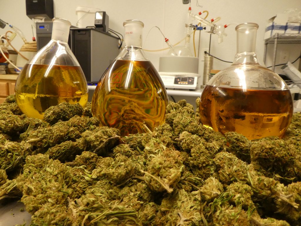 Cannabis Oil Extraction | Vincent Corp